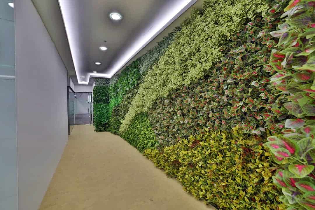 SD Global – DSGN